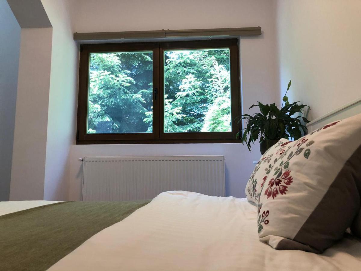 Forest Apartments By Olala Homes Sinaia Eksteriør bilde