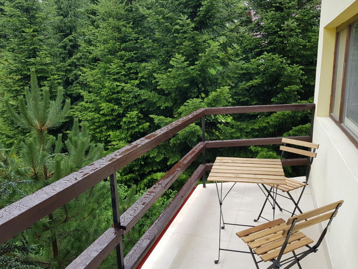 Forest Apartments By Olala Homes Sinaia Eksteriør bilde